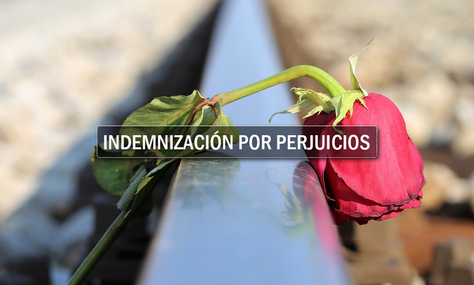 Indemnización de perjuicios